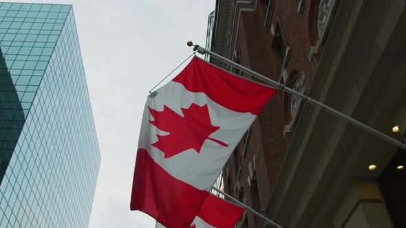 Canadian flags in downtown Ottawa alt