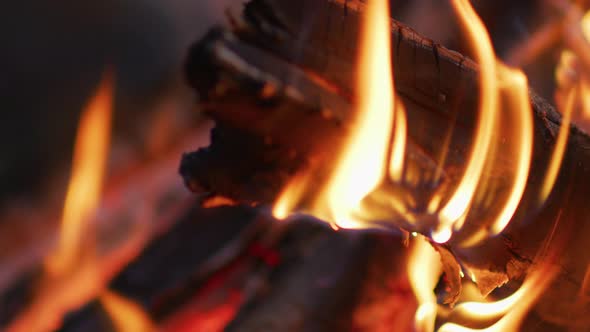 Close up view of flames alt