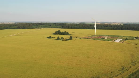 Windmill in the Summer in the Field