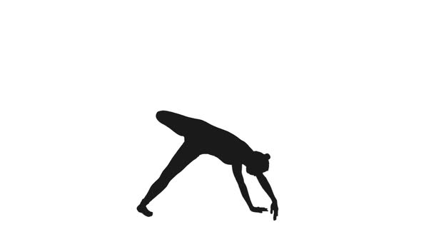 Silhouette of Sporty Female Standing in Different Yoga Poses During Workout, Alpha Channel