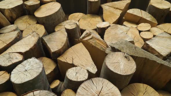 Industry Timber and Firewood Logs Stacked Up Pull Away Handheld Shot