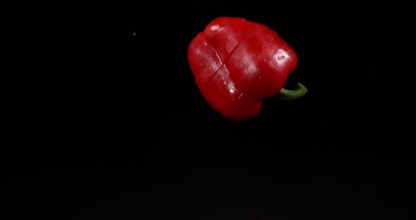 Red Sweet Pepper, capsicum annuum, Vegetable falling on Water against Black Background alt