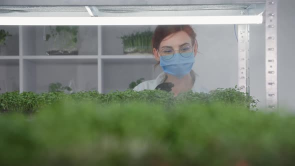 Young Woman Wearing Glasses in a Medical Mask and Gloves Sprays with Water From Spray Bottle Young alt