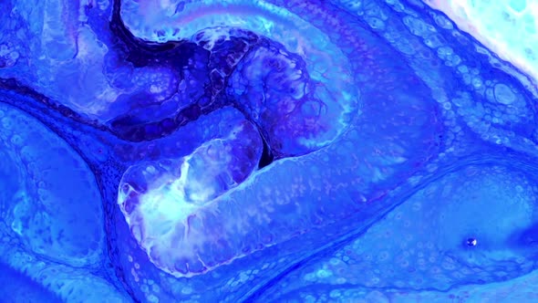 Abstract Colorful Sacral Liquid Waves Texture 465 alt