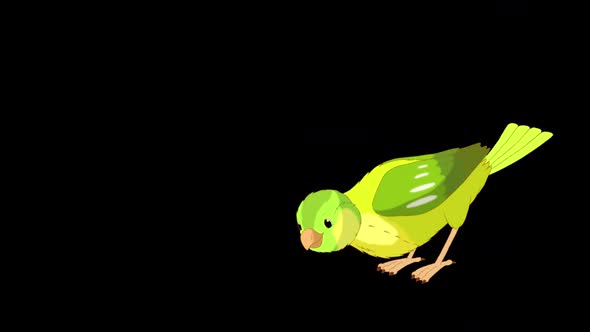 Green canary flies and pecks alpha matte HD