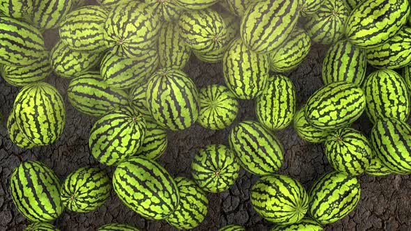 Watermelons on Ground alt