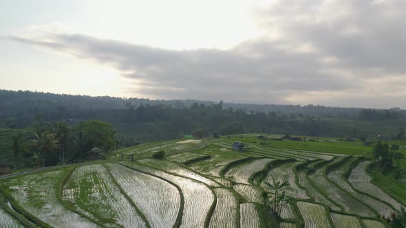 Bali Rice Terraces and the Dark Cloudy Skies with Mountain Forest Silhouette alt