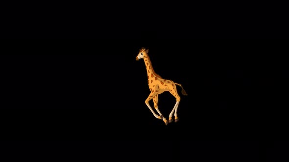 Little baby giraffe runs back and forth alpha matte long shot 4K