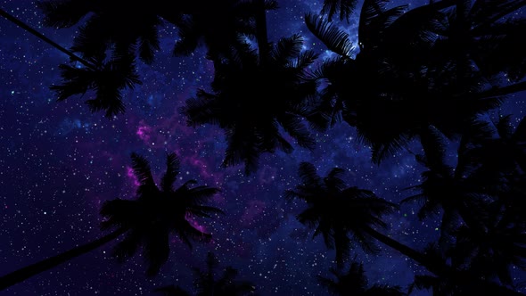 Bottom View Of Starry Night Sky Through Palm Trees