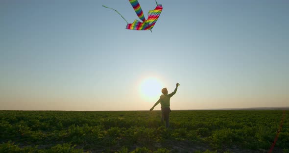 A Boy Is Playing with a Kite in the Sky at Sunset.  alt