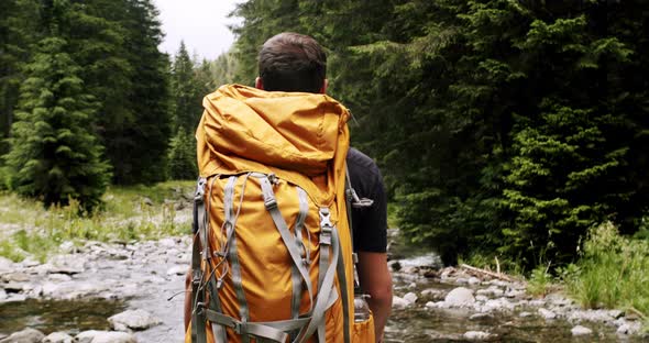 Back View of Active Healthy Male with a Backpack Walking in Pine Woods alt