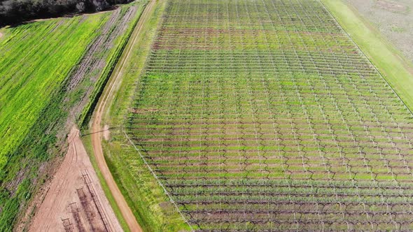 Aerial View of a Farm Crops alt