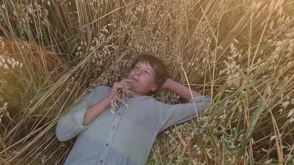 a boy in a shirt is lying in a field with oats
