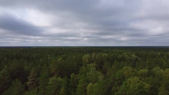 Drone take off over a green dense forest on a cloudy day.