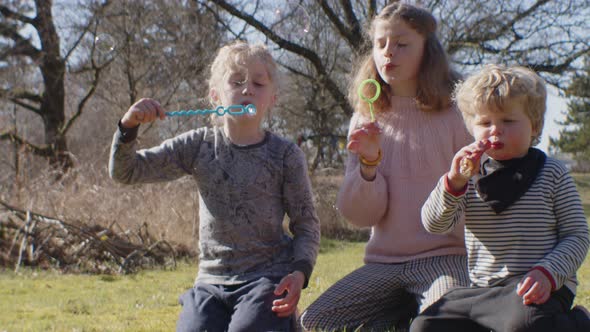 Sister And Young Brothers Blowing Bubbles In Field