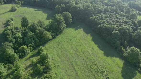 Above Valley With Trees And Pastures By Sunrise 4K Aerial Footage alt