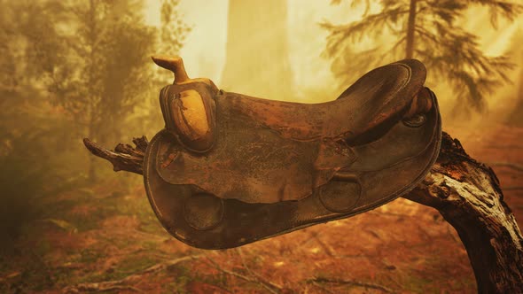 Vintage Leather Horse Saddle on the Dead Tree in Forest at Sunset alt