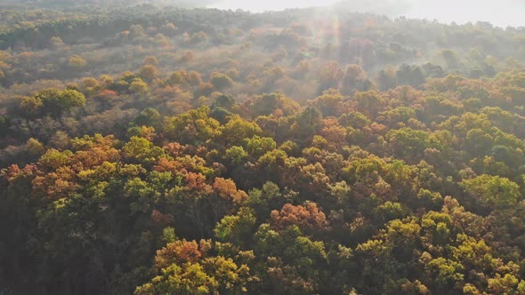 Aerial Top View Morning Sunbeam and Fog in the Forest Autumn Landscape alt