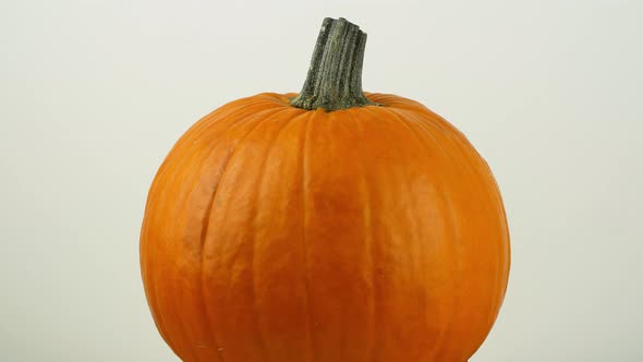 Halloween pumpkin with on a white background rotates 360. Close-up of an orange pumpkin.