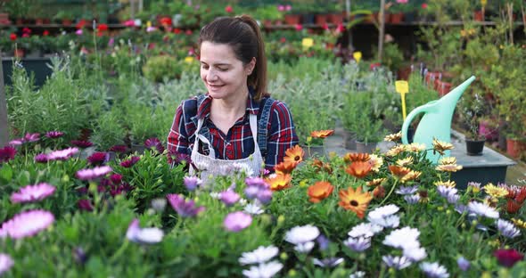 Woman working inside nursery greenhouse alt