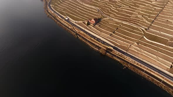 Terraced vineyards in front of a dark blue lake, perfect for opening shot alt