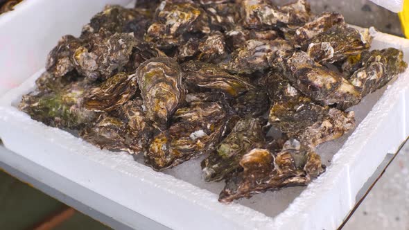 Seafood Delicacies alt