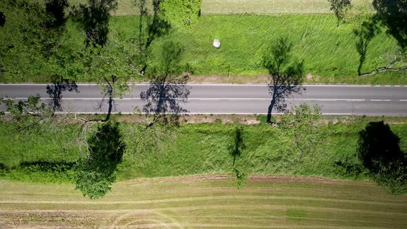 Aerial drone, views the shadows of trees, between farmsland. alt