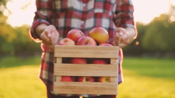 Young woman in a plaid shirt holds in her hands a wooden box