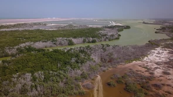 Aerial view on Mexican jungle and a lagoon in Rio Lagartos in Yucatan in Mexico alt
