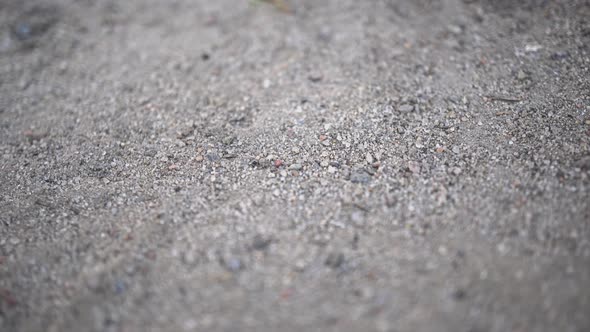 Macro Mixed Ground Of The Earth alt