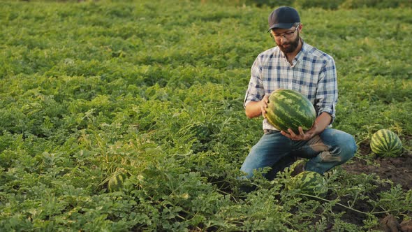 Portrait of a Smiling Young Farmer in a Field with a Watermelon in His Hands alt