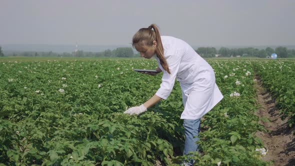 Agronomist working outdoors alt