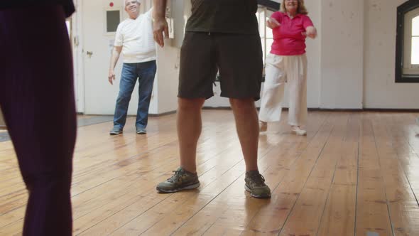 Senior People Having Dance Class with Teacher in Ballroom alt