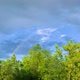 Colrful Rainbow Curve Under Summer Forest Trees - VideoHive Item for Sale
