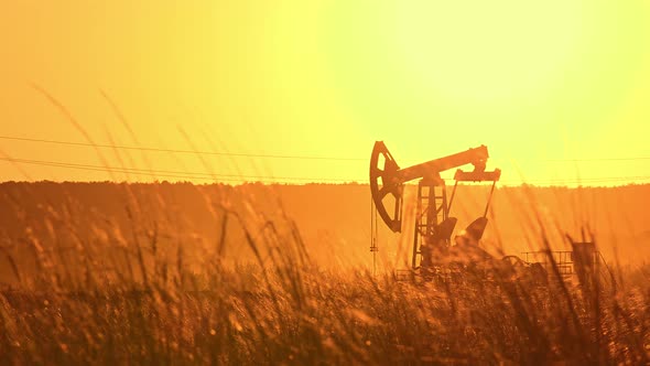 Silhouette of Oil Pumps in Large Oil Field at Sunrise.