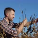 A Farmer or Agronomist in a Field Takes a Photo of Mature Soybean Stalks on a Camera in His Cell - VideoHive Item for Sale