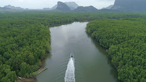 Longtail boat in the river Tropical Mangroves forest Amazingly abundant forest in Thailand alt