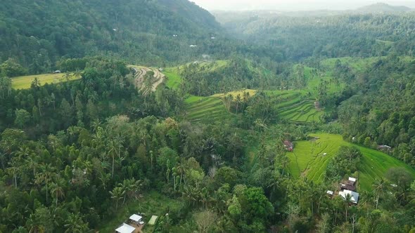 Aerial Video above Rice Terraces