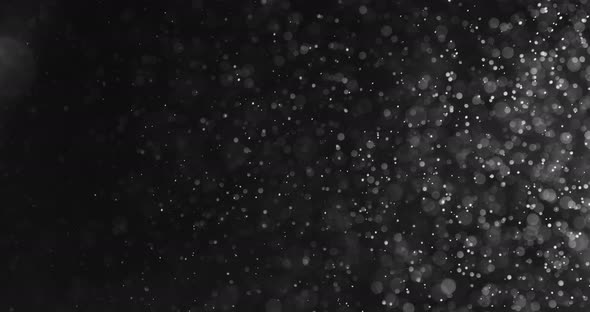 White Bubbles And Particles In Water Against Black Background alt