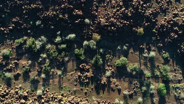 Aerial landscape with a dry riverbed in the arid, rocky region of southern Namibia alt