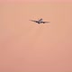 Airliner in the Sky at Dawn - VideoHive Item for Sale