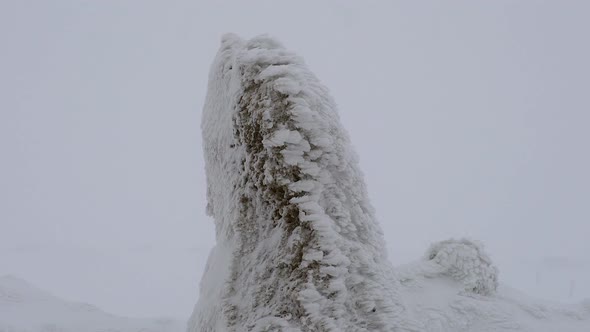 Snow Layers Accumulating on Rock in the Hard Stormy Cold Weather in Winter