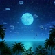 Palm Trees By the Sea Lit By a Big Moon - VideoHive Item for Sale