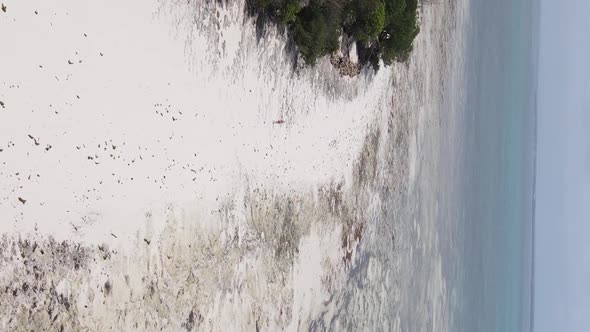 Zanzibar Tanzania  Vertical Video of the Ocean Near the Coast Slow Motion alt