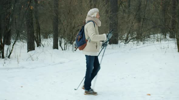 Side View of Elderly Woman Walking in Forest with Ski Poles Busy with Winter Sports Outdoors alt