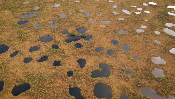 Aerial Top View of Huge Swampland with Puddles and Plants on It Surface