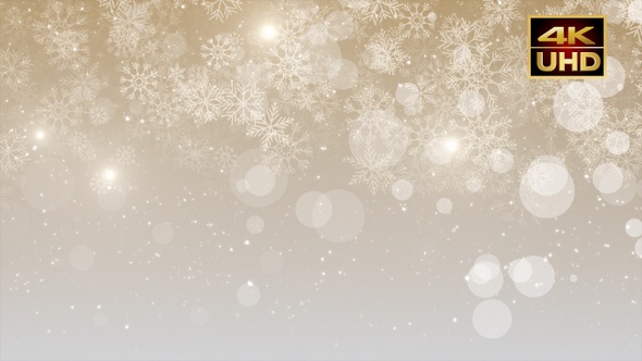 Golden Honey Bokeh 4 K alt