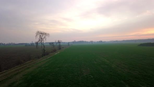 Scenic Aerial Flight Above the Fields Towards the Sun alt