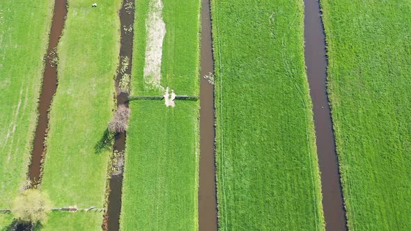 Aerial View Of Green Fields And Water Texture