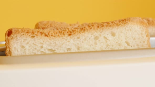 Close-up dropping of white bread  drop in two-slot automatic electric toaster 4K video alt